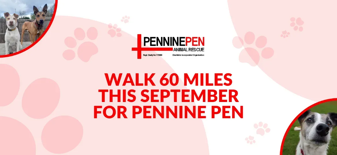 Walk 60 Miles This September for Pennine Pen